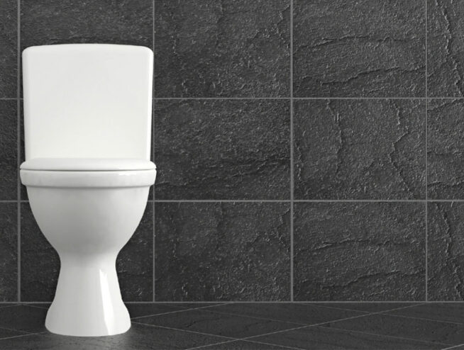 how to unclog a toilet