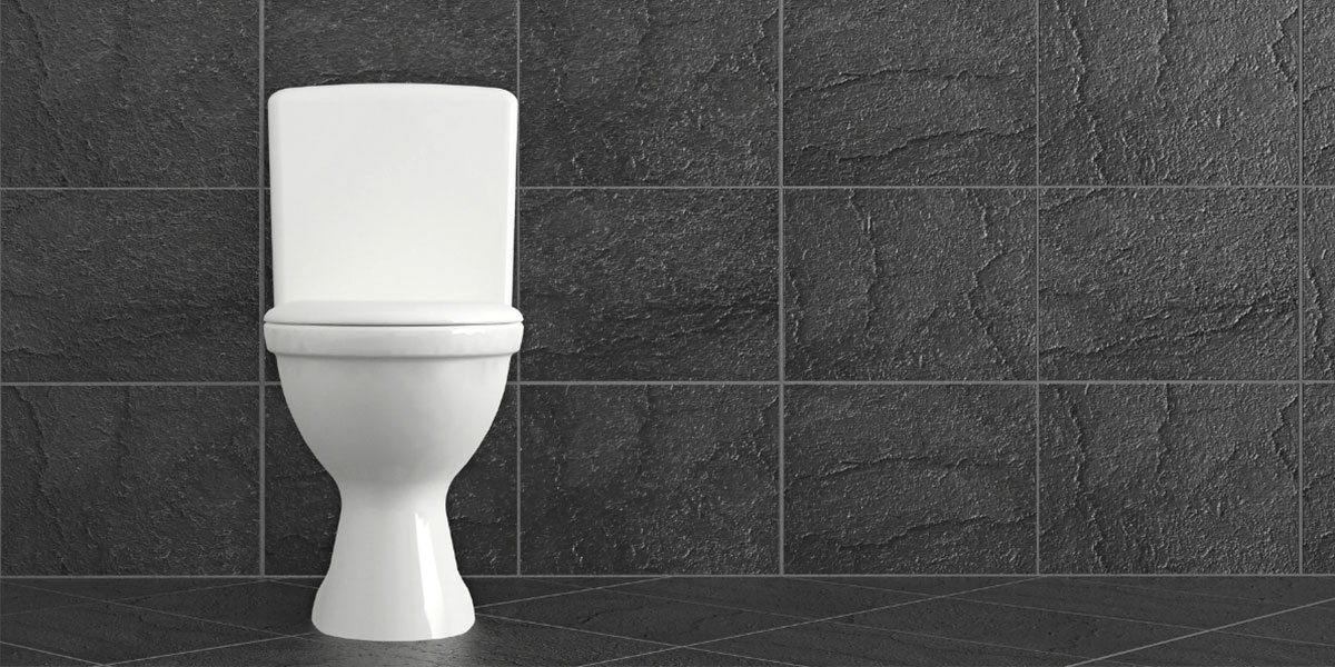 how to unclog a toilet